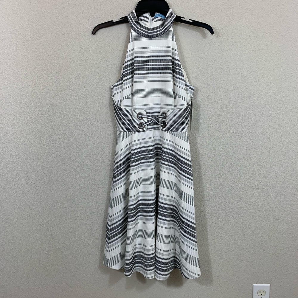 Antonio Melani Chapman Dress